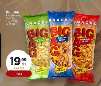 Scandinavian Park Big bag tilbud