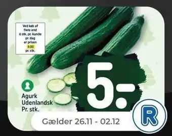 Netto Agurk tilbud