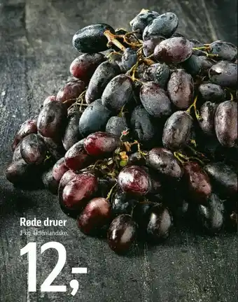 Føtex Røde druer tilbud