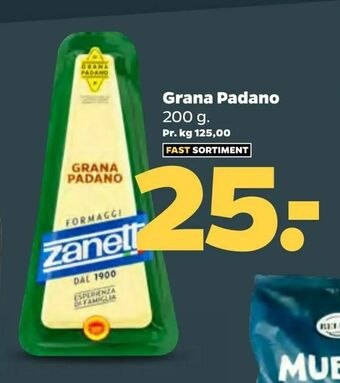 Netto Grana Padano tilbud