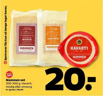Netto Mammen ost tilbud
