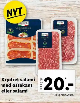 Krydret salami med ostekant eller salami