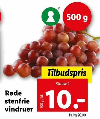 Røde stenfrie vindruer