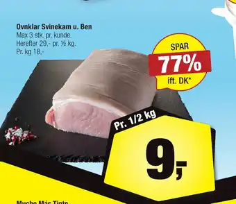 Ovnklar svinekam u. ben