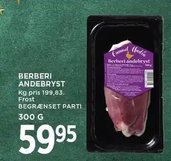 Berberi andebryst
