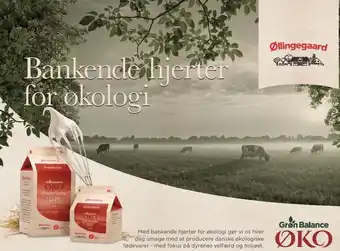 MENY Bankende hjerter for økologi tilbud