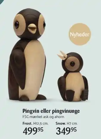 Pingvin eller pingvinunge