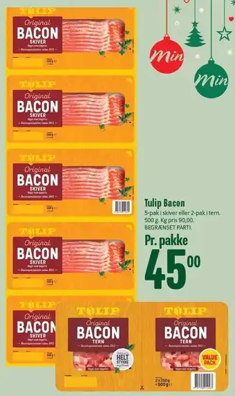 Tulip bacon