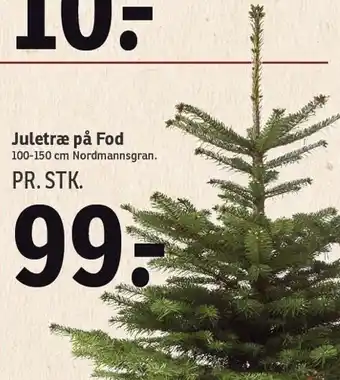 Juletræ på fod