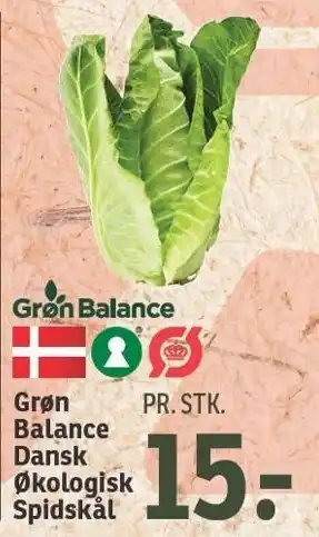 SPAR Grøn balance dansk økologisk spidskål tilbud