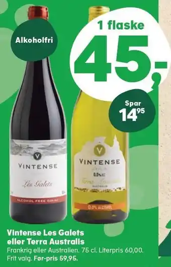 Vintense les galets eller terra australis