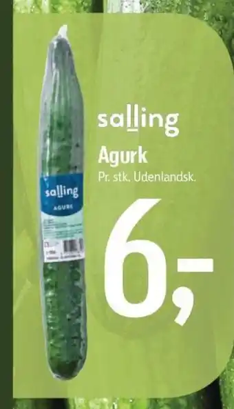 Føtex Agurk tilbud