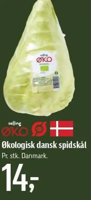 Føtex Økologisk dansk spidskål tilbud