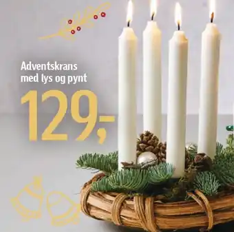 Føtex Adventskrans med lys og pynt tilbud