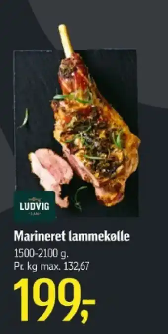Føtex Marineret lammekølle tilbud