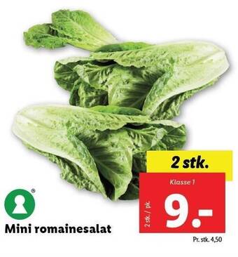 Lidl Mini romainesalat tilbud
