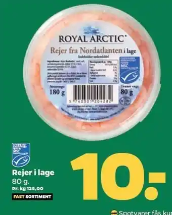 Netto Rejer i lage tilbud