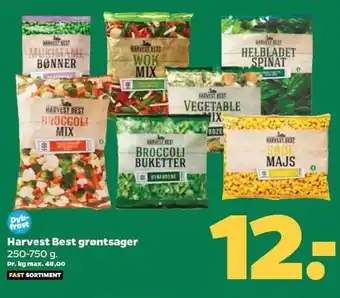 Netto Harvest best grøntsager tilbud