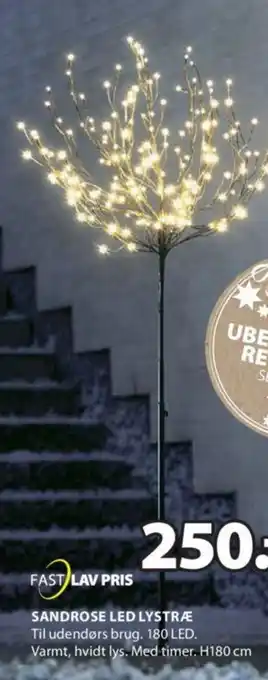 JYSK SANDROSE LED LYSTRÆ tilbud