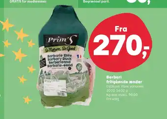 Berberi fritgående ænder