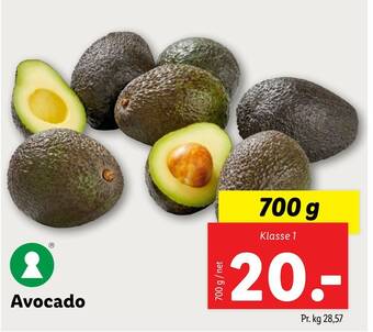 Lidl Avocado tilbud