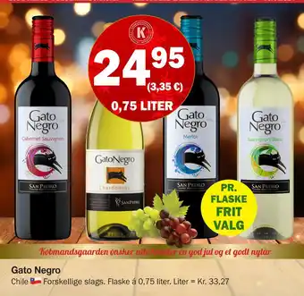 Gato negro