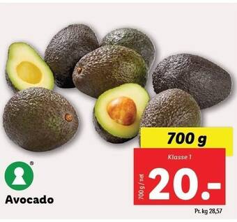 Lidl Avocado tilbud