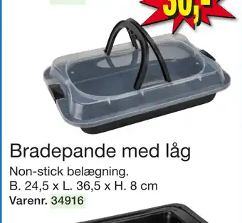 Harald Nyborg Bradepande med låg tilbud