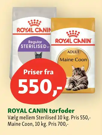 Maxi Zoo Royal canin tørfoder tilbud