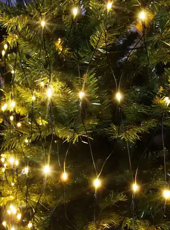 AV-Cables 230v led netlyskæde 240 led - 2 x 1.5 meter tilbud