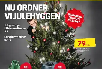 Juletræ/rødgran