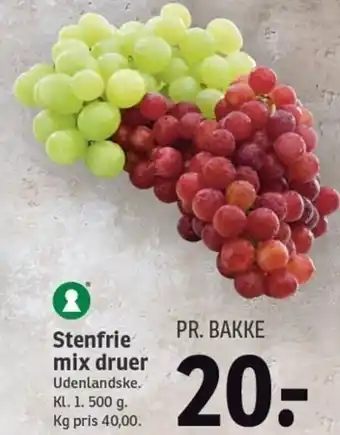 SPAR Stenfrie Mix Druer 1.500g tilbud