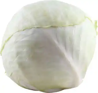 Øko. hvidkål, 1 ct
