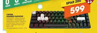 Expert CEPTER GAMING-TASTATUR tilbud