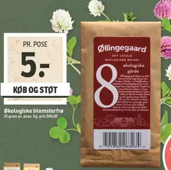 Økologiske Blomsterfrø