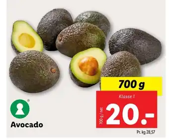 Lidl Avocado tilbud