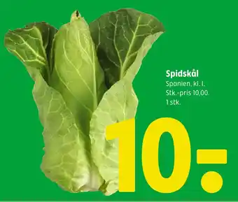Coop 365 Spidskål tilbud
