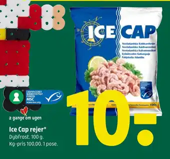Ice cap rejer