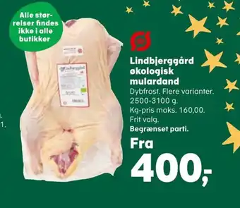 SuperBrugsen Lindbjerggård økologisk mulardand tilbud