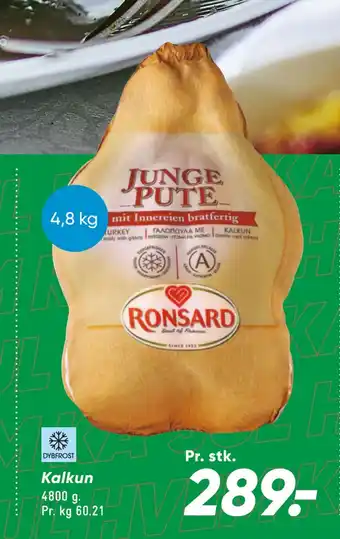 Bilka Kalkun tilbud