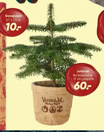 Bilka Juletræ tilbud