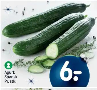 REMA 1000 Agurk spansk tilbud