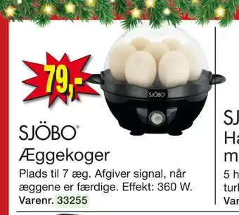 Æggekoger