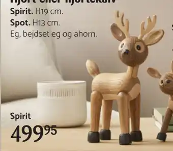 Hjort eller hjortekalv