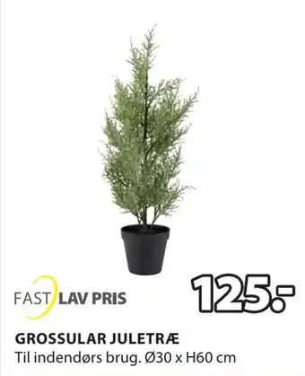 JYSK Grossular juletræ tilbud