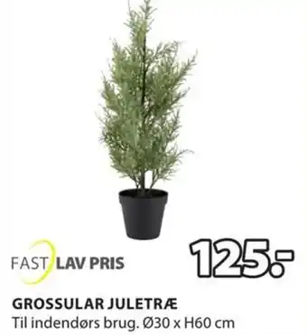 JYSK GROSSULAR JULETRÆ tilbud