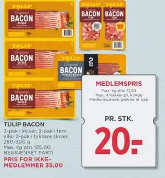 MENY TULIP BACON tilbud
