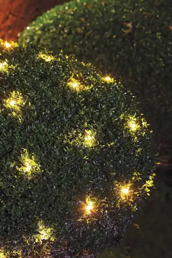 Sirius top-line net startsæt 100 led sort