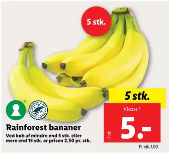 Rainforest bananer