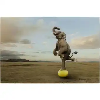 Balance elephant, glas galleri